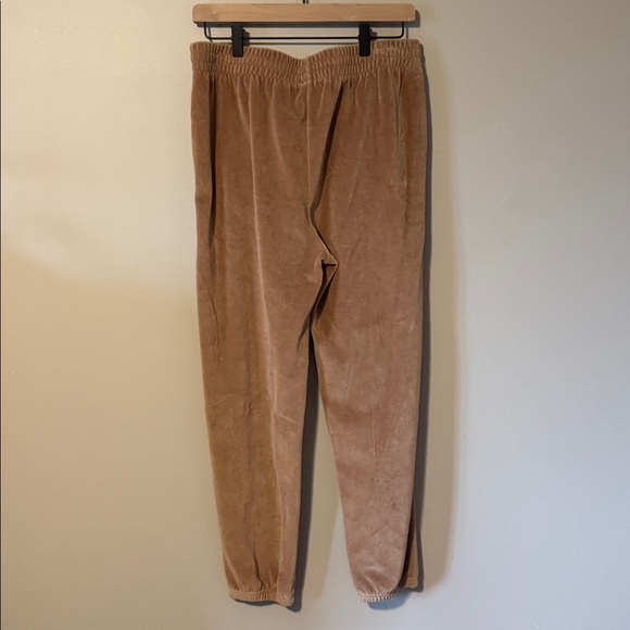 Anine Bing Sport Evan Velour Jogger - Picture 5 of 6